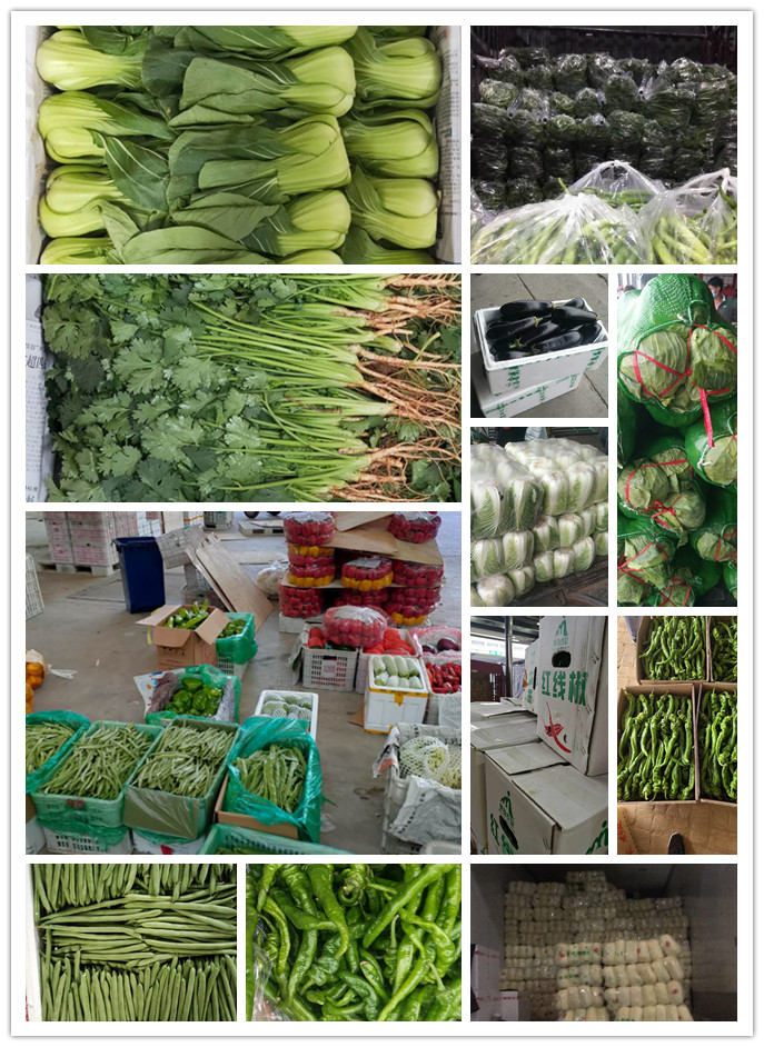 欧宝OB(中国集团)有限公司官网