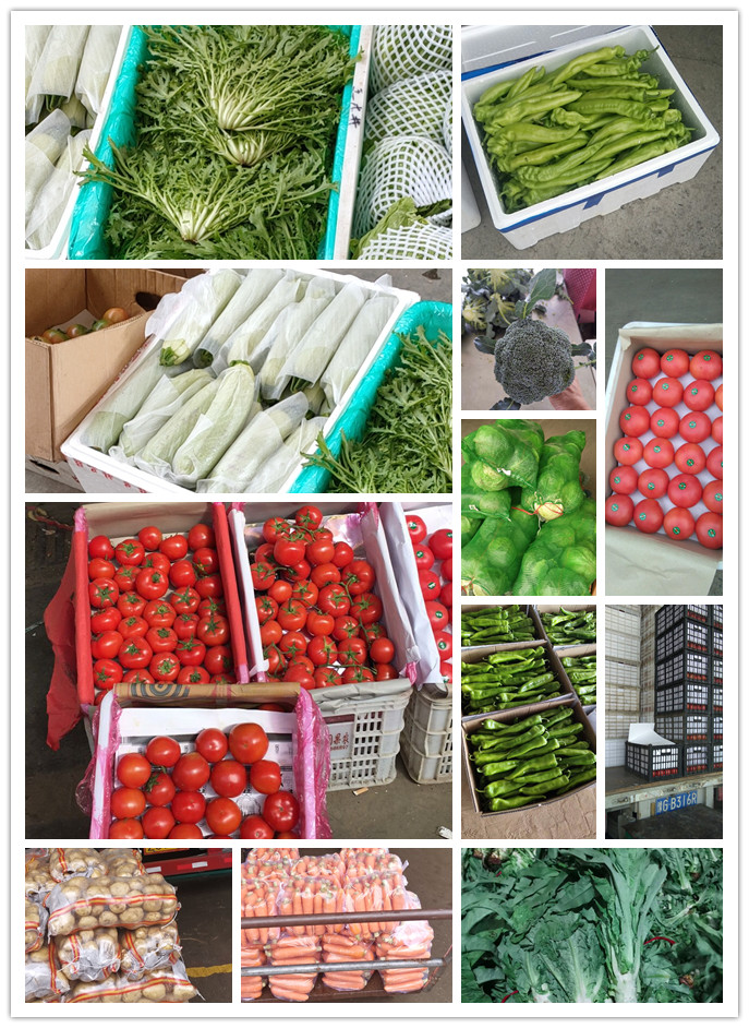 欧宝OB(中国集团)有限公司官网