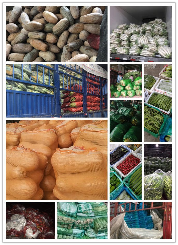 欧宝OB(中国集团)有限公司官网