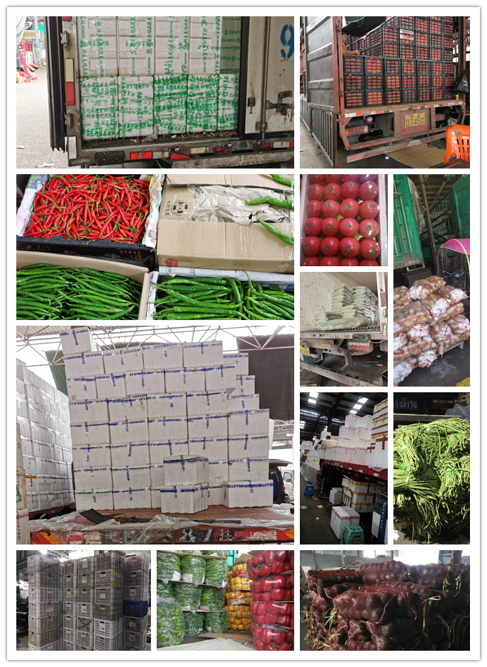 欧宝OB(中国集团)有限公司官网