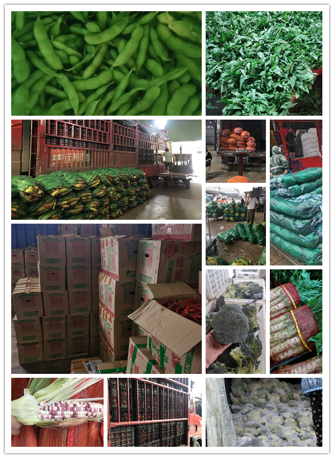 欧宝OB(中国集团)有限公司官网