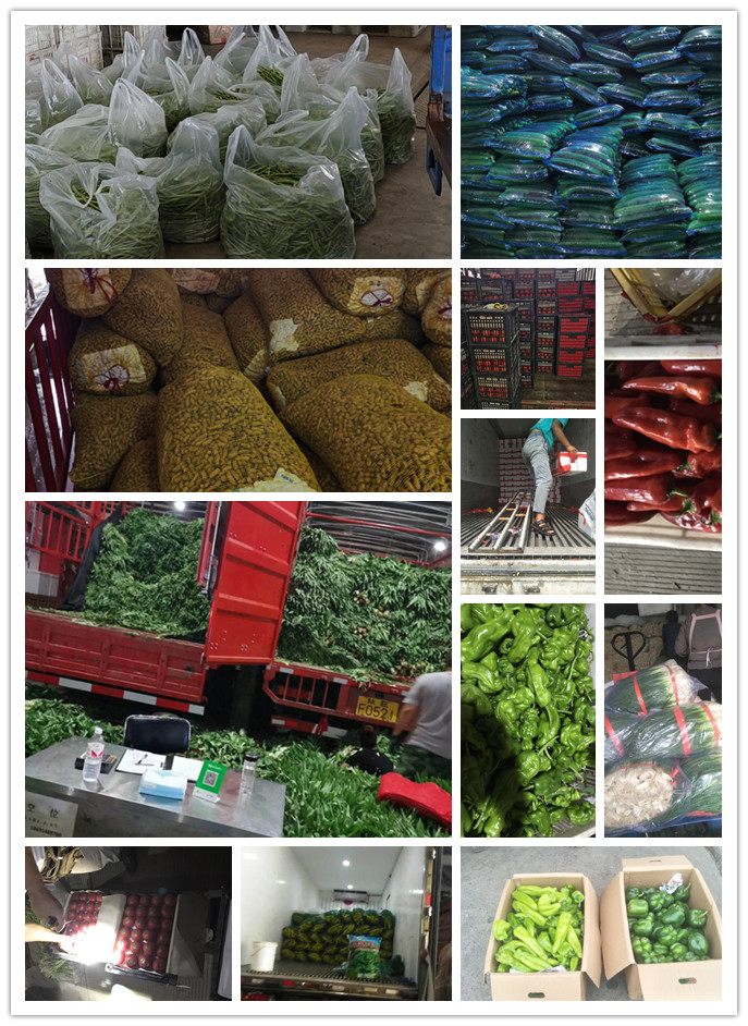 欧宝OB(中国集团)有限公司官网