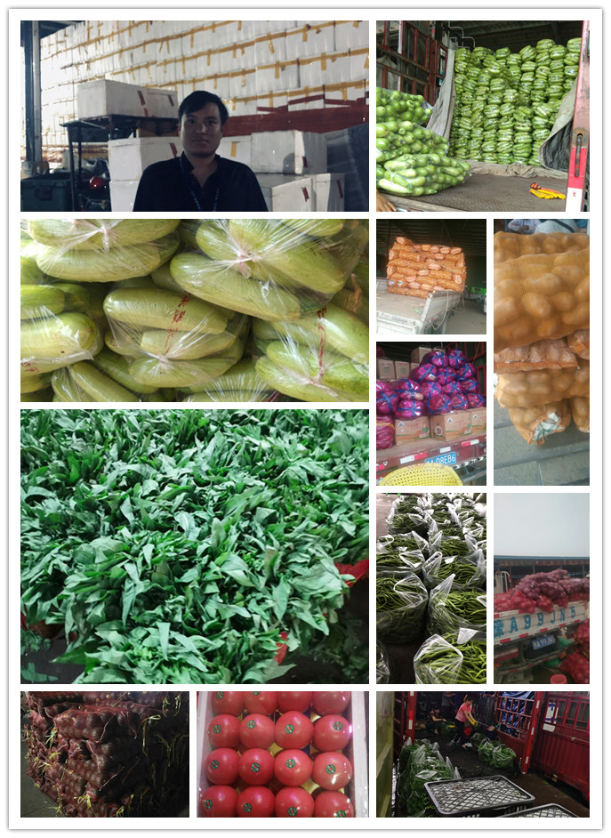 欧宝OB(中国集团)有限公司官网