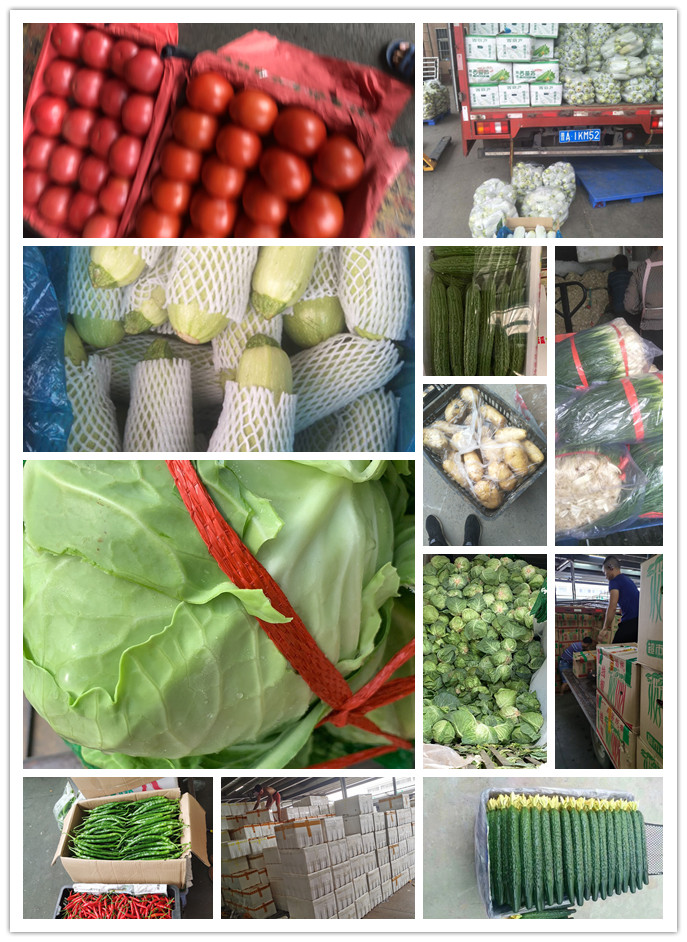 欧宝OB(中国集团)有限公司官网