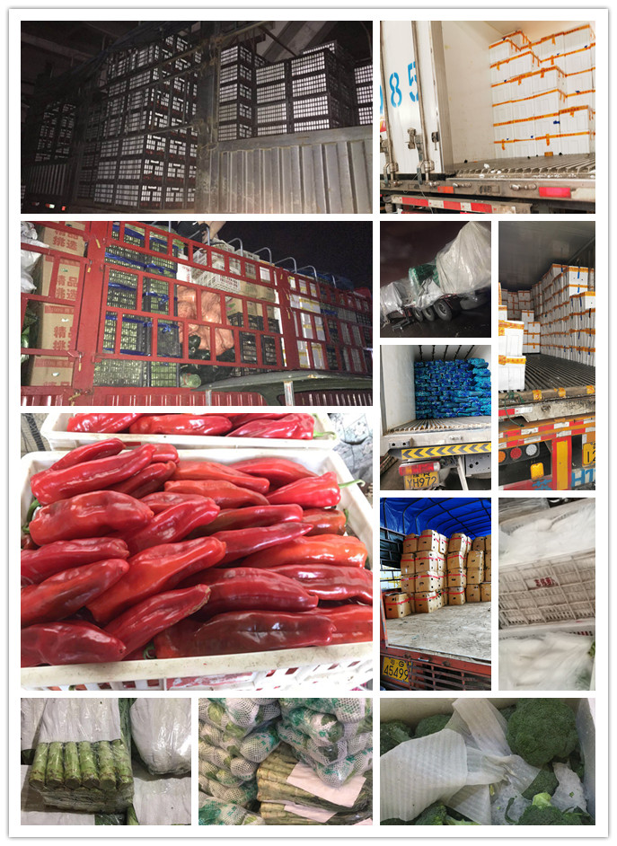 欧宝OB(中国集团)有限公司官网