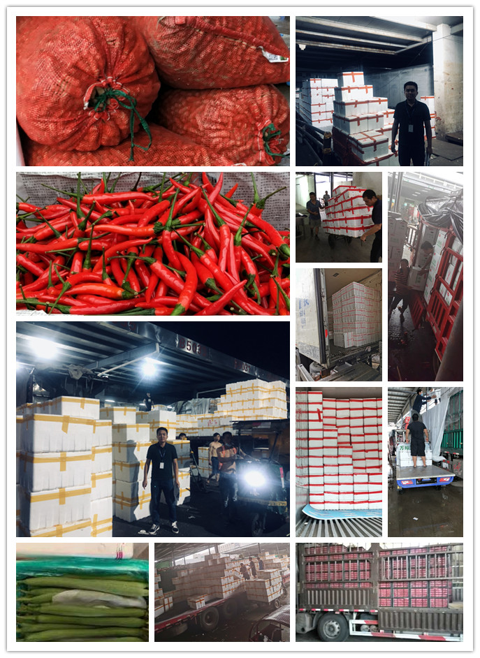 欧宝OB(中国集团)有限公司官网