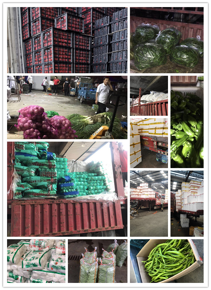 欧宝OB(中国集团)有限公司官网