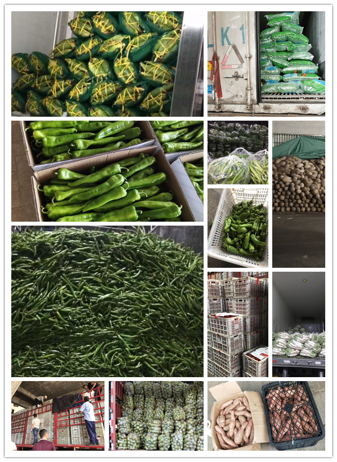 欧宝OB(中国集团)有限公司官网