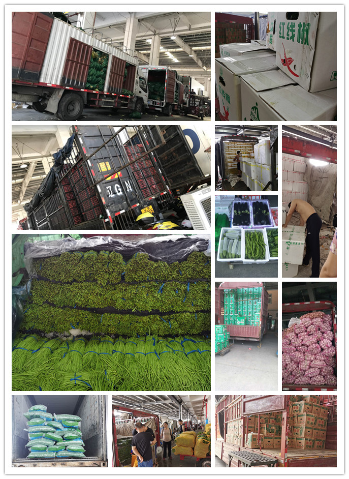 欧宝OB(中国集团)有限公司官网