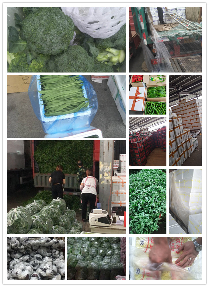 欧宝OB(中国集团)有限公司官网