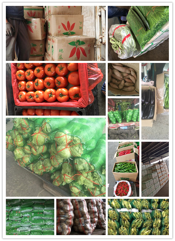 欧宝OB(中国集团)有限公司官网