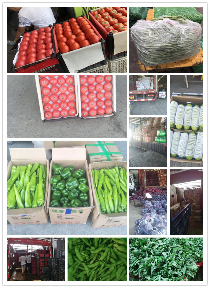 欧宝OB(中国集团)有限公司官网