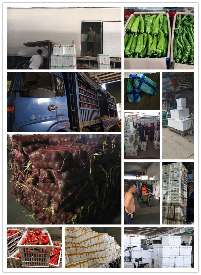 欧宝OB(中国集团)有限公司官网