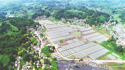 欧宝OB(中国集团)有限公司官网