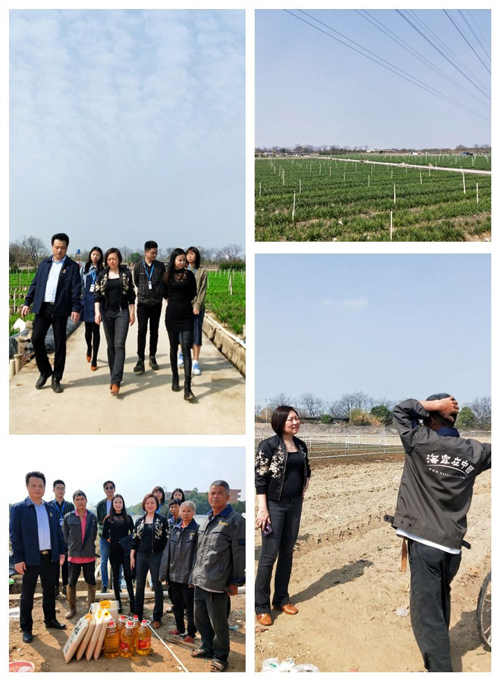 欧宝OB(中国集团)有限公司官网