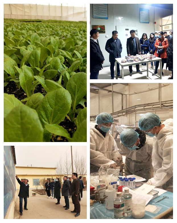 欧宝OB(中国集团)有限公司官网