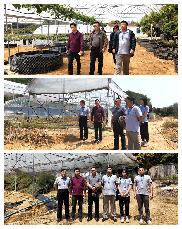 欧宝OB(中国集团)有限公司官网