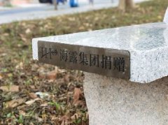 集团党支部落实大花园经济联社“民生微项目”，，，提升住民群众幸福感