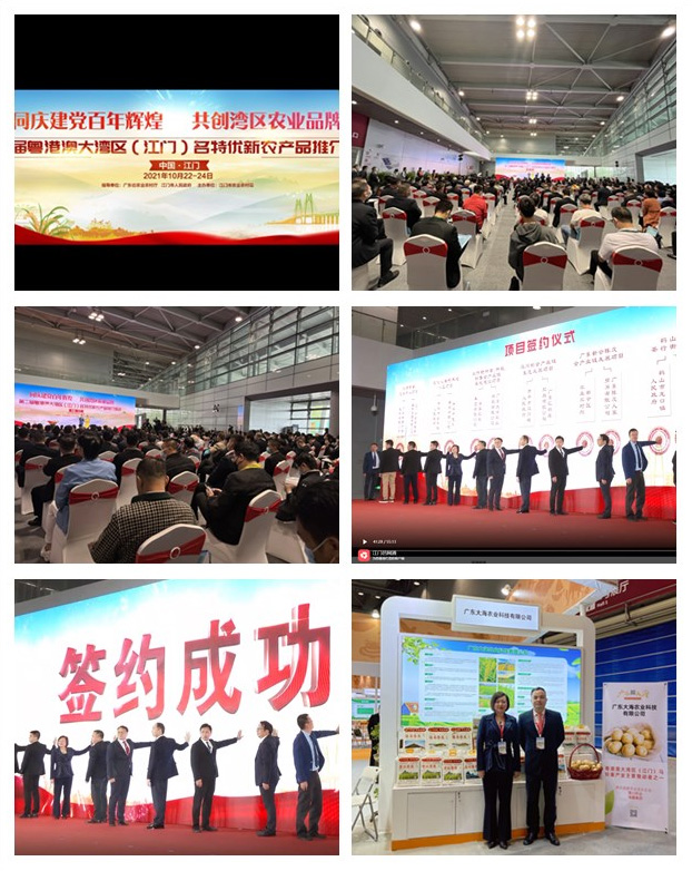 欧宝OB(中国集团)有限公司官网