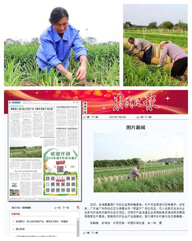 欧宝OB(中国集团)有限公司官网