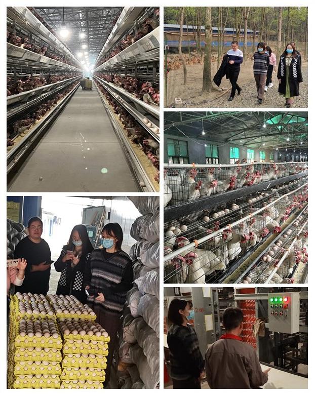 欧宝OB(中国集团)有限公司官网