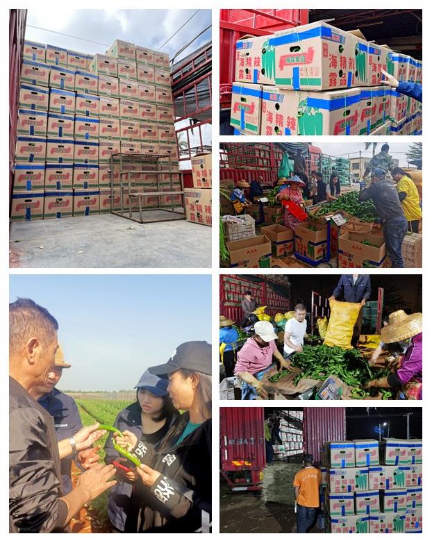 欧宝OB(中国集团)有限公司官网