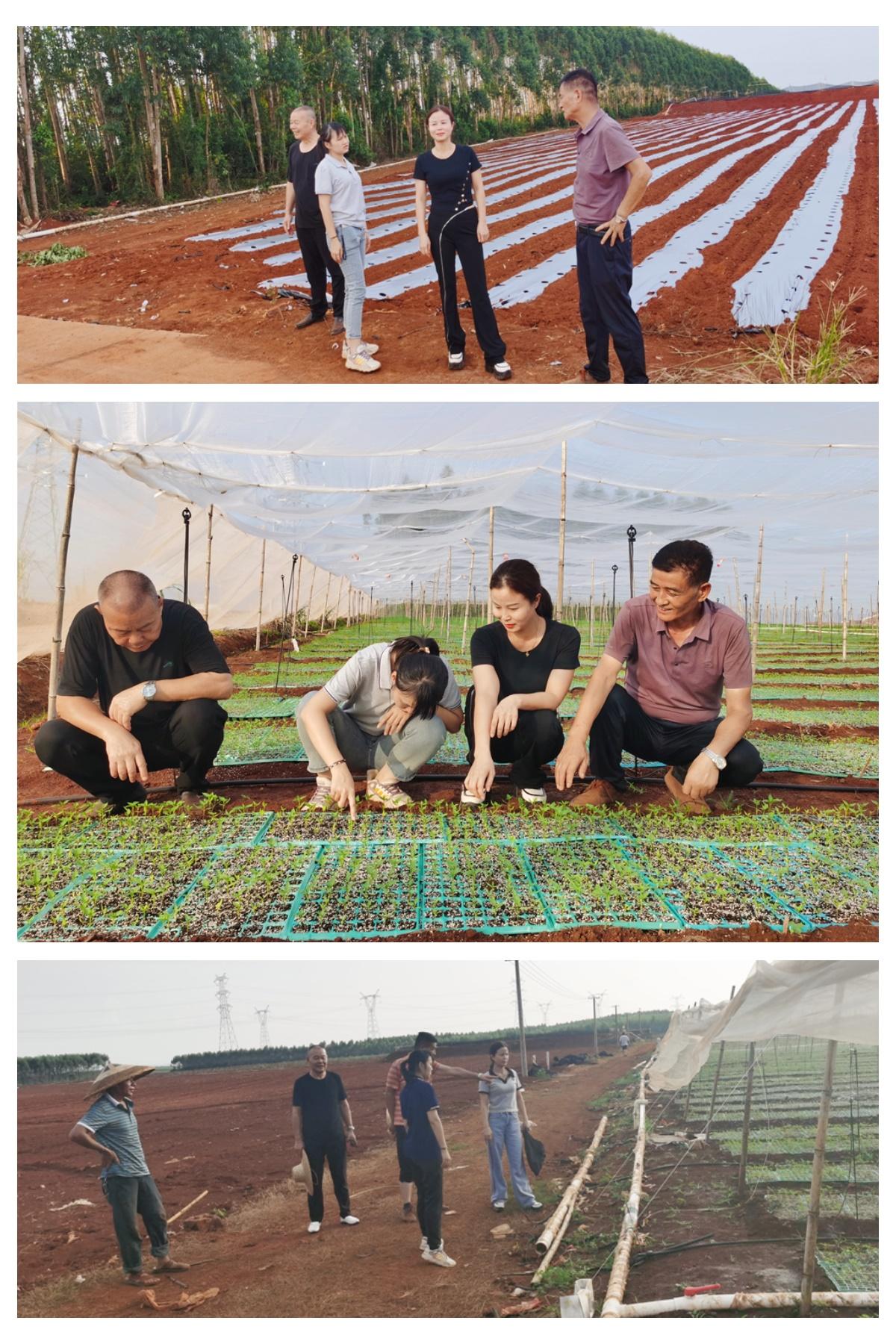 欧宝OB(中国集团)有限公司官网