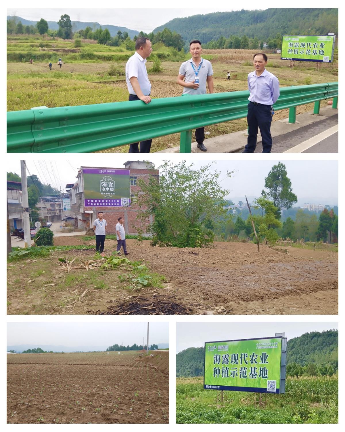 欧宝OB(中国集团)有限公司官网