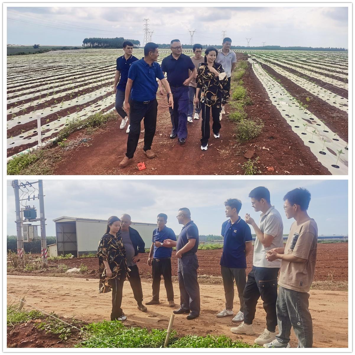 欧宝OB(中国集团)有限公司官网