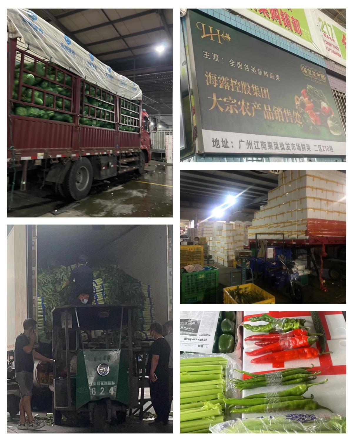 欧宝OB(中国集团)有限公司官网