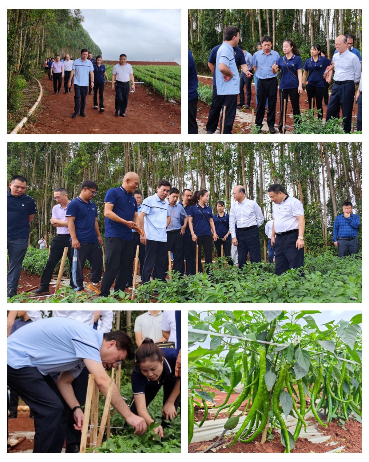 欧宝OB(中国集团)有限公司官网
