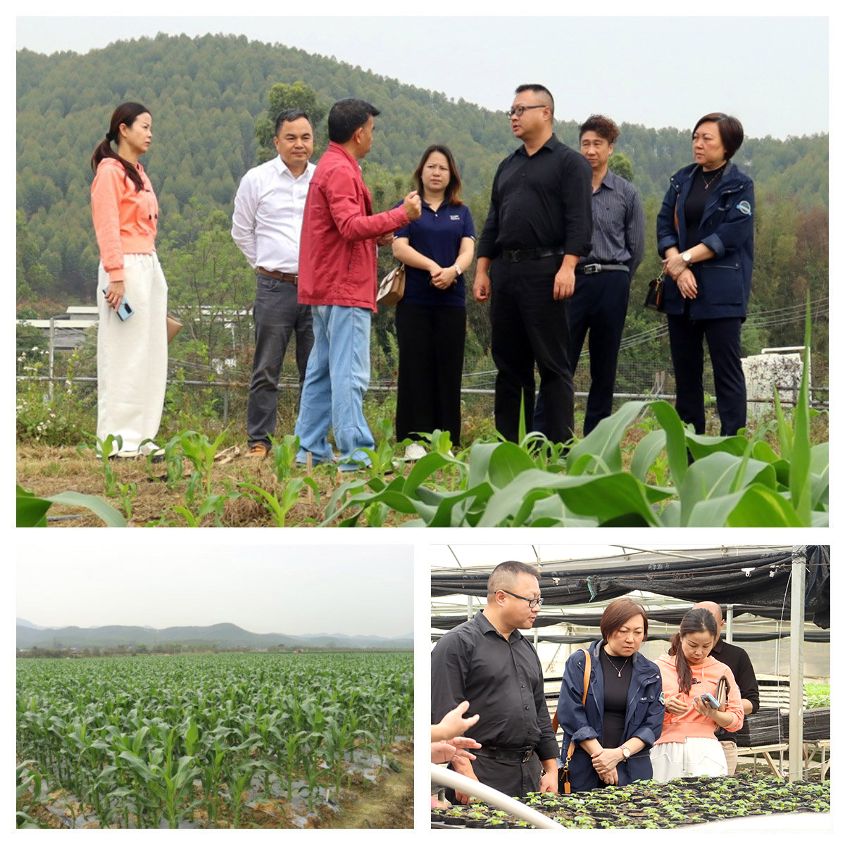 欧宝OB(中国集团)有限公司官网