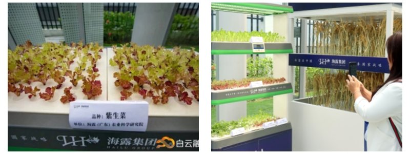 欧宝OB(中国集团)有限公司官网