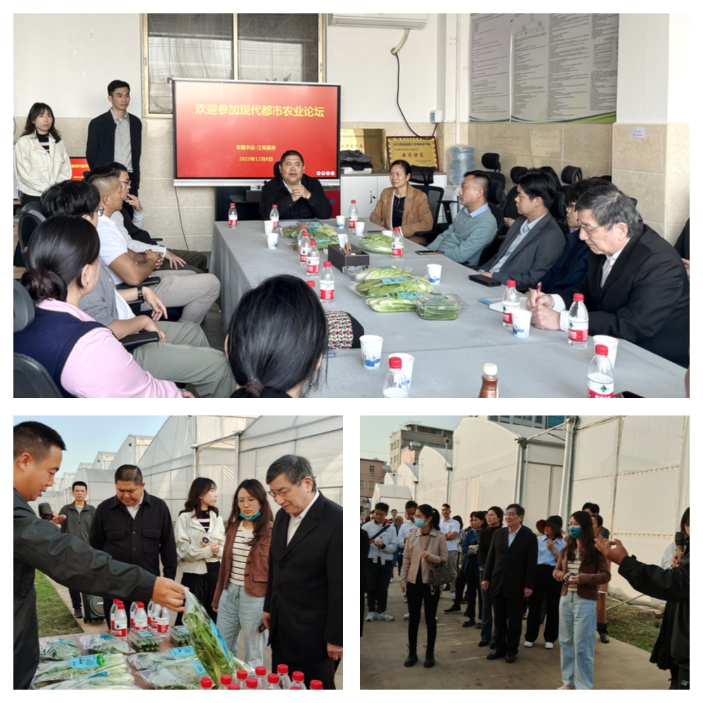 欧宝OB(中国集团)有限公司官网