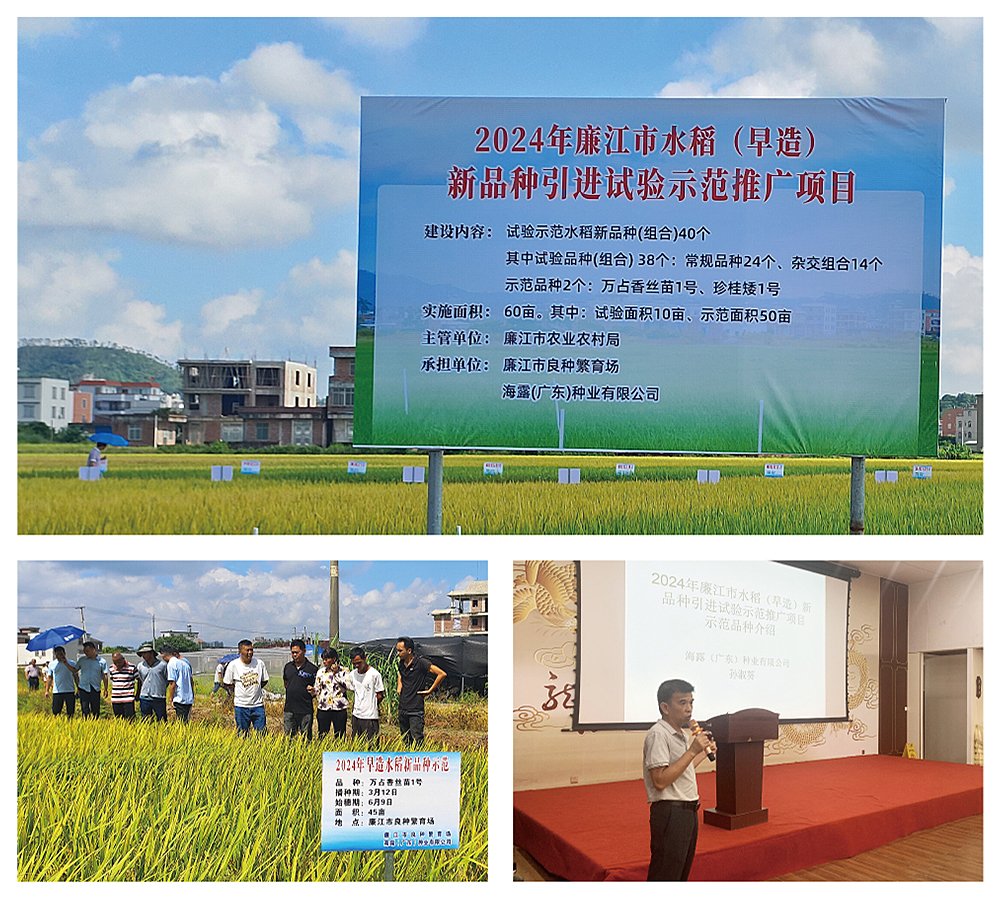 欧宝OB(中国集团)有限公司官网