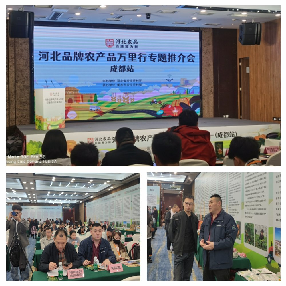 欧宝OB(中国集团)有限公司官网