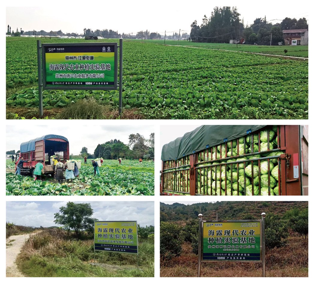 欧宝OB(中国集团)有限公司官网