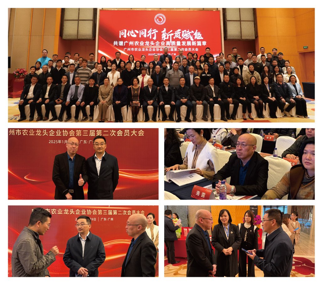 欧宝OB(中国集团)有限公司官网