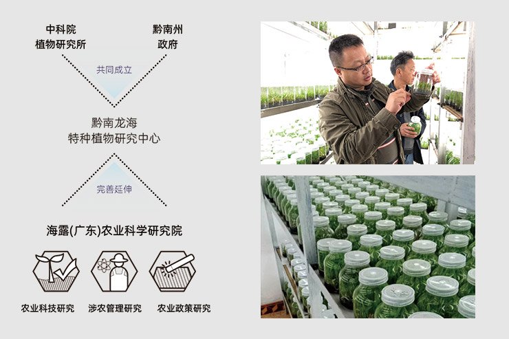 欧宝OB(中国集团)有限公司官网