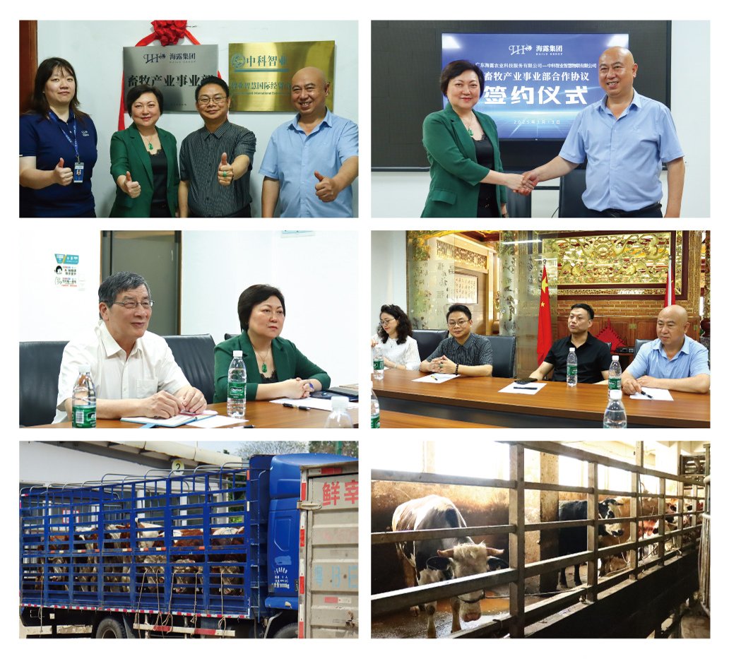 欧宝OB(中国集团)有限公司官网