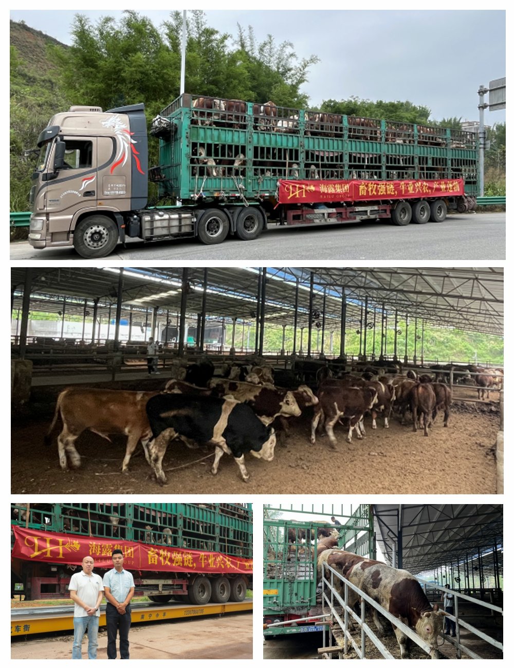 欧宝OB(中国集团)有限公司官网