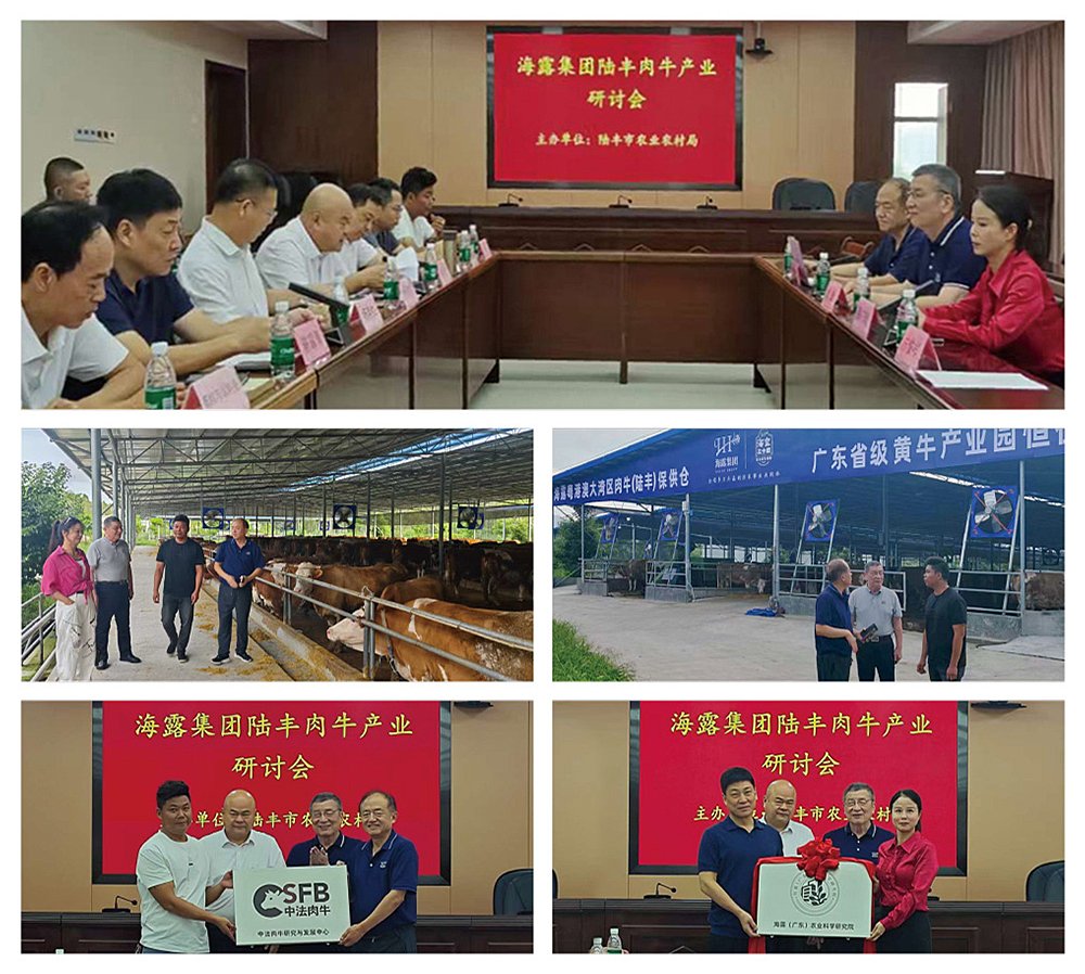 欧宝OB(中国集团)有限公司官网