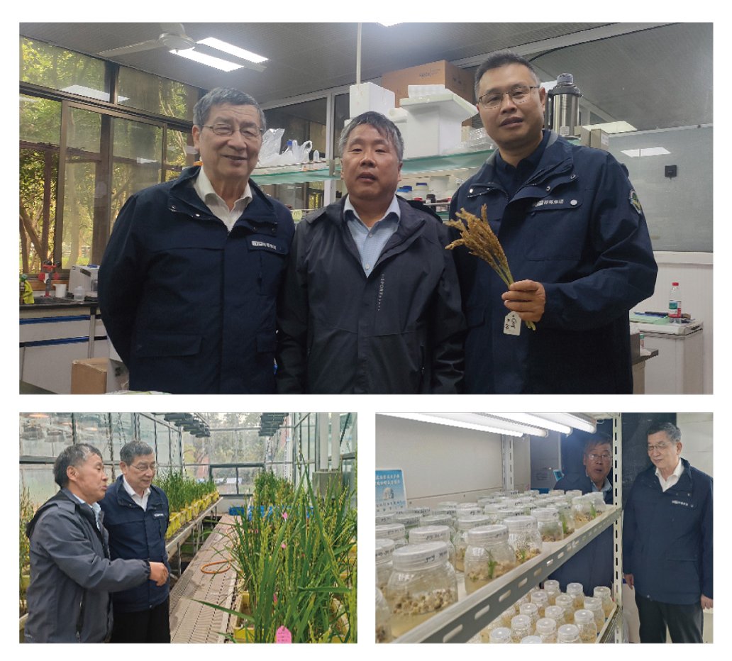 欧宝OB(中国集团)有限公司官网