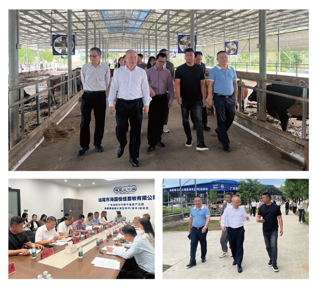 欧宝OB(中国集团)有限公司官网