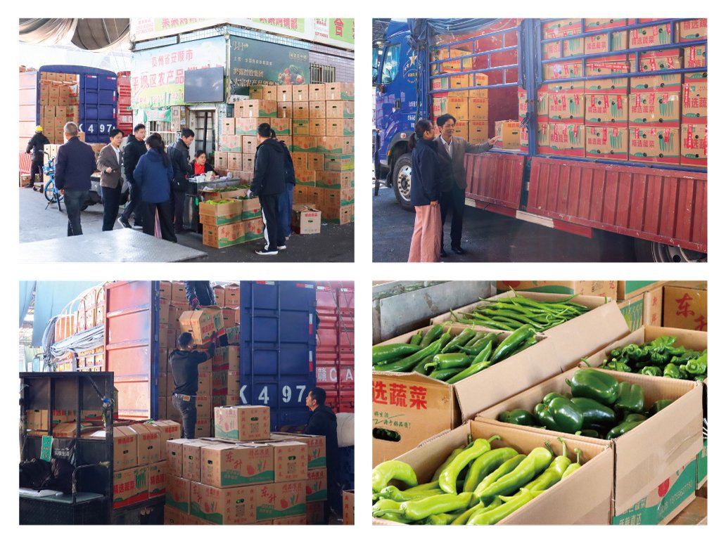 欧宝OB(中国集团)有限公司官网